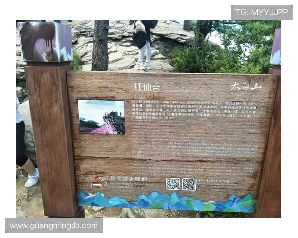 LNG的奋斗历程与成就揭秘：从默默无闻到电竞顶尖团队的崛起之路