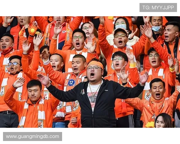 武汉乒乓球队战术争议引发热议球迷与专家各抒己见探讨未来发展