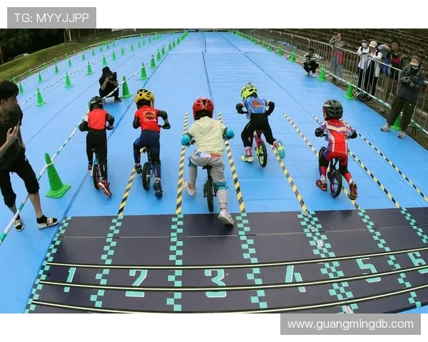 武汉极限运动队灵活性变革引发热议探索新趋势与挑战