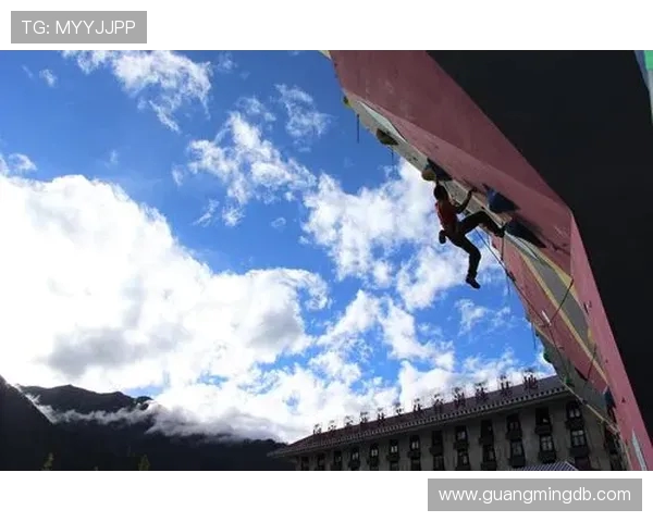 重庆攀岩队的奋斗历程与成长故事全景纪实