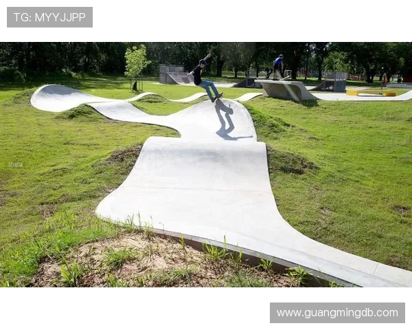 飞盘装备选购指南及滑板推荐助你畅享户外运动乐趣