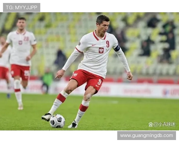 哈萨克与比利时足球对决前瞻分析及胜负预测探讨